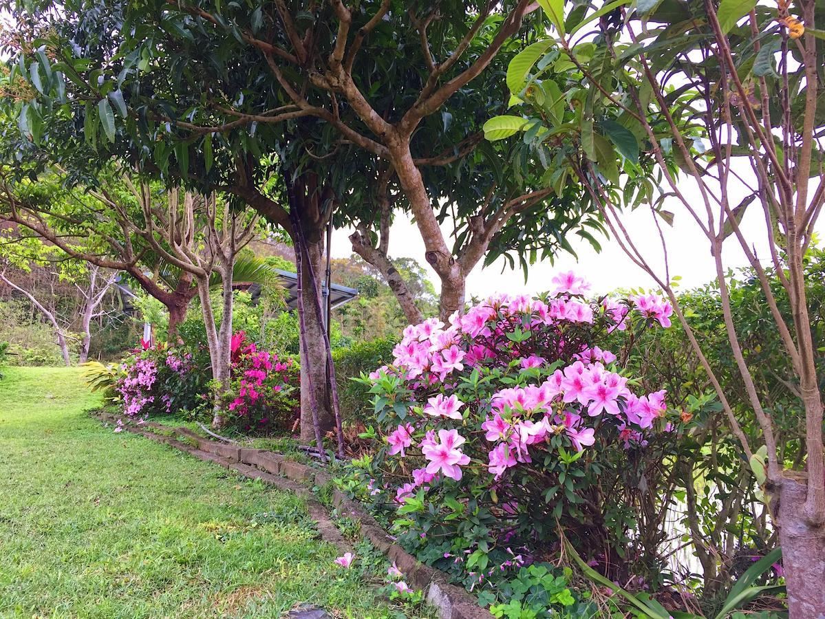 Jiu An Qing Jing Homestay Фули Экстерьер фото
